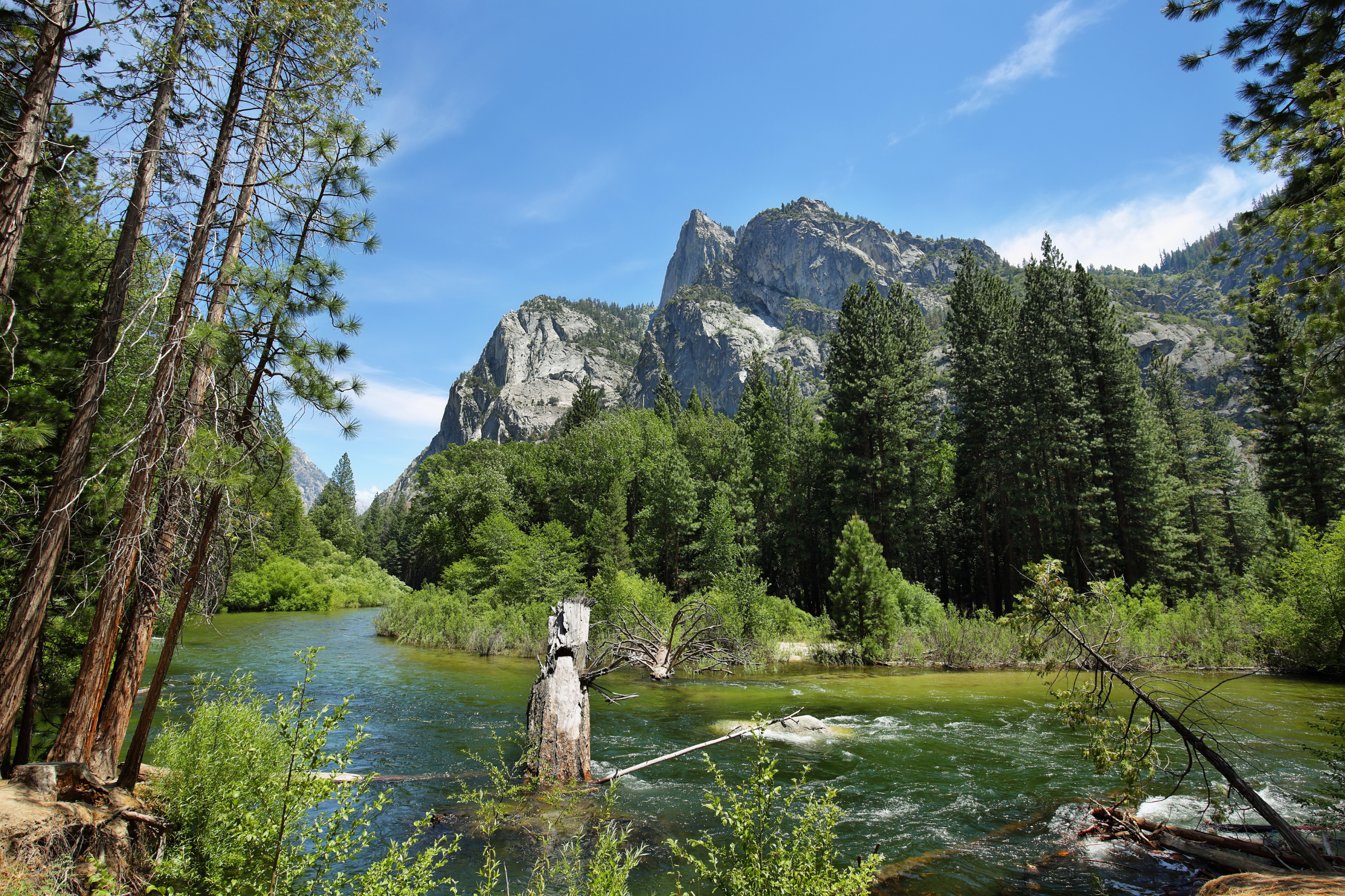 kings canyon national park, california.webp